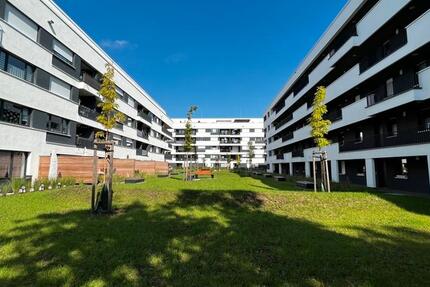 Wohnung Halle (Saale) Damaschkestraße - 2 Zimmer, 64 m&sup2;, 740&euro; | Angebot:25265882