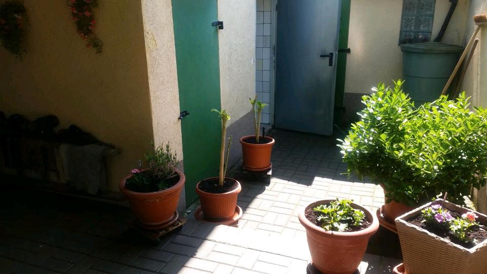 Reihenhaus Südliches Anhalt - 3 Zimmer, 65 m&sup2;, 35.000&euro; | Angebot:26235538