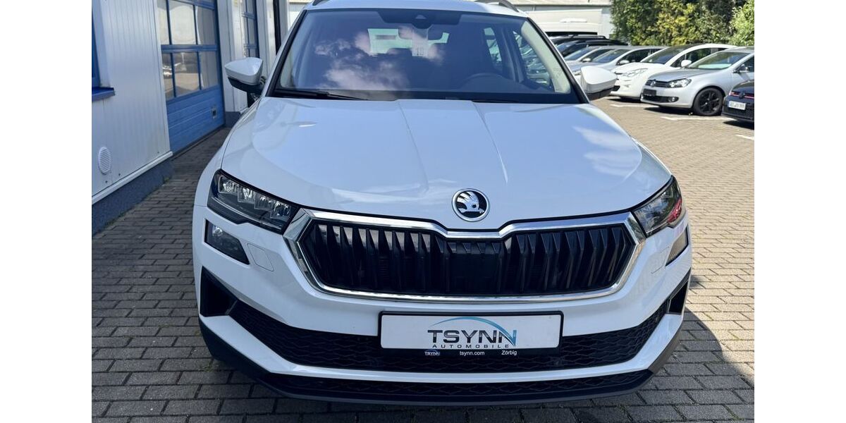 Skoda Karoq 157.821 km 17.990 &euro; Zörbig bei Leipzig 06780