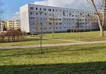 Wohnung zum Mieten in Halle 357 € 56.65 m²