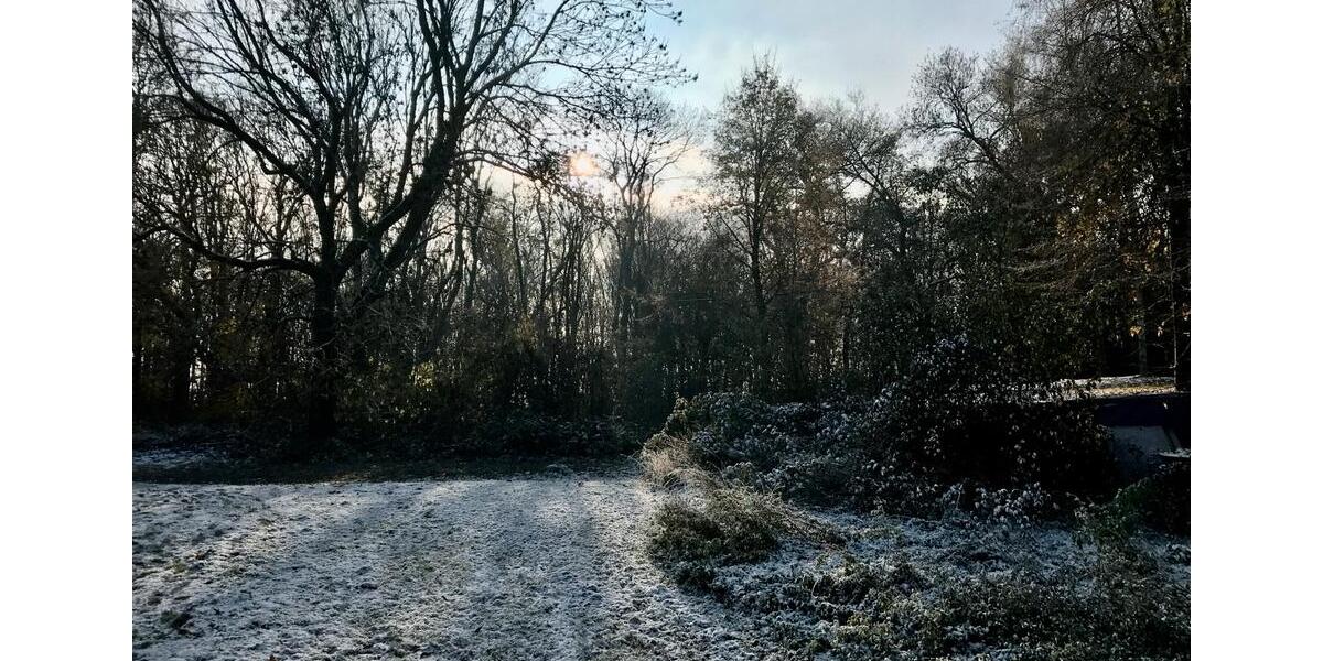 Einfamilienhaus Leuna - 8 Zimmer, 270 m&sup2;, 420.000&euro; | Angebot:23634405