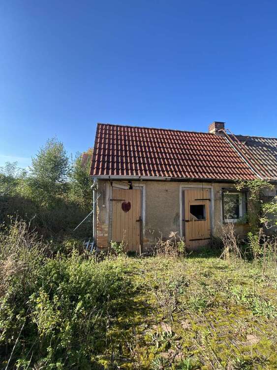 Selbstverwirklichung auf 2.619 qm großem Grundstück + im Umkreis von Halle (Saale) 3 zimmer