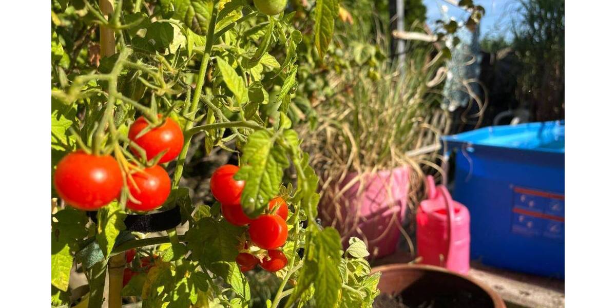 Doppelhaushälfte Schkopau Ermlitz - 5 Zimmer, 169 m&sup2;, 419.000&euro; | Angebot:26204742