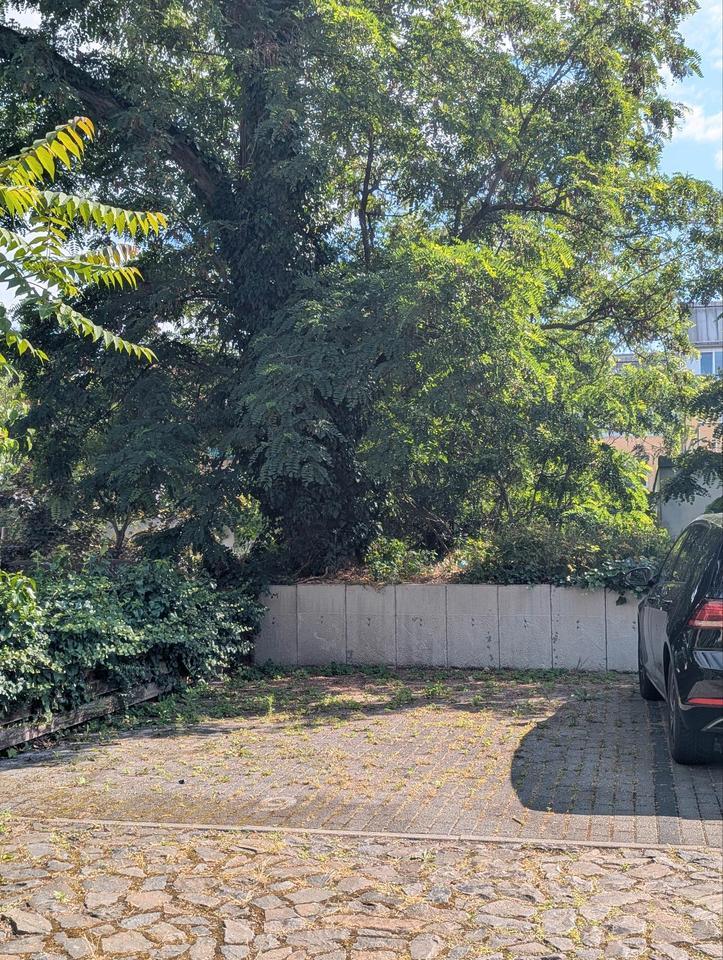 Parkplatz Stellplatz Innenhof PlagwitzSchleußig