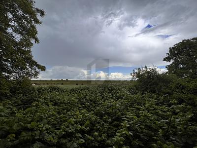 WOHNEN IN DER NATUR ERSCHLOSSEN + GROßE SCHEUNE