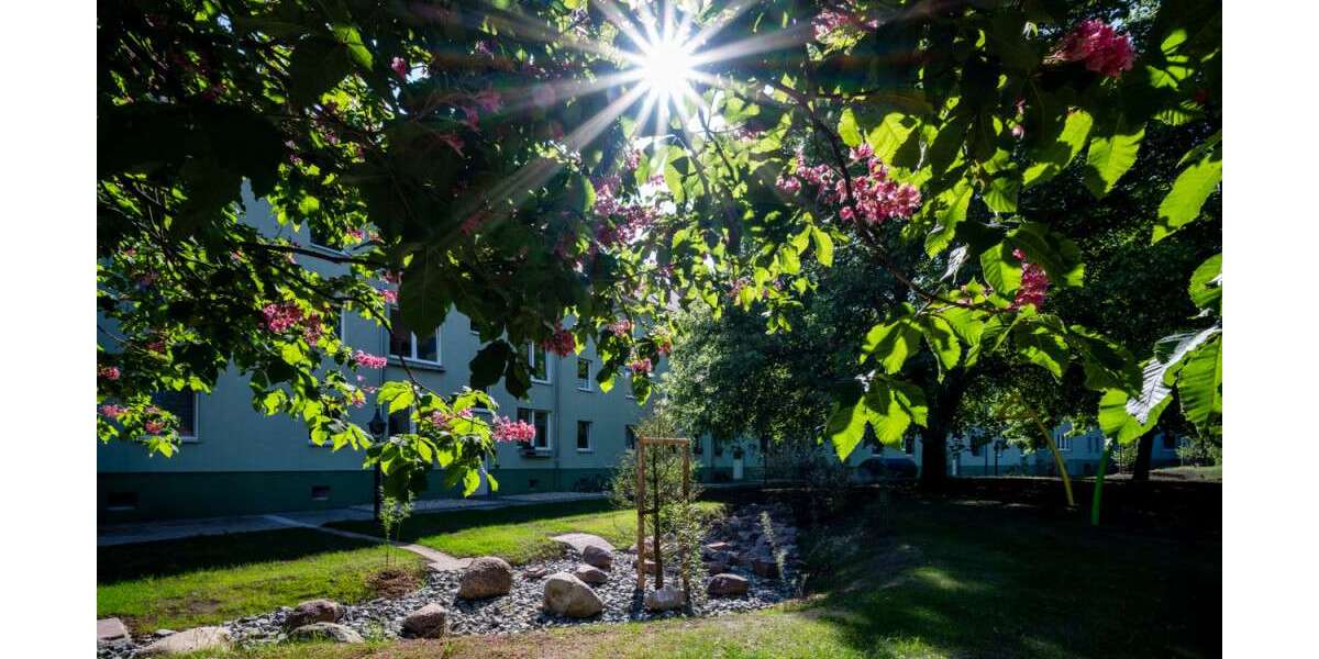 Etagenwohnung Halle (Saale) Damaschkestraße - 3 Zimmer, 67 m&sup2;, 502&euro; | Angebot:26854110