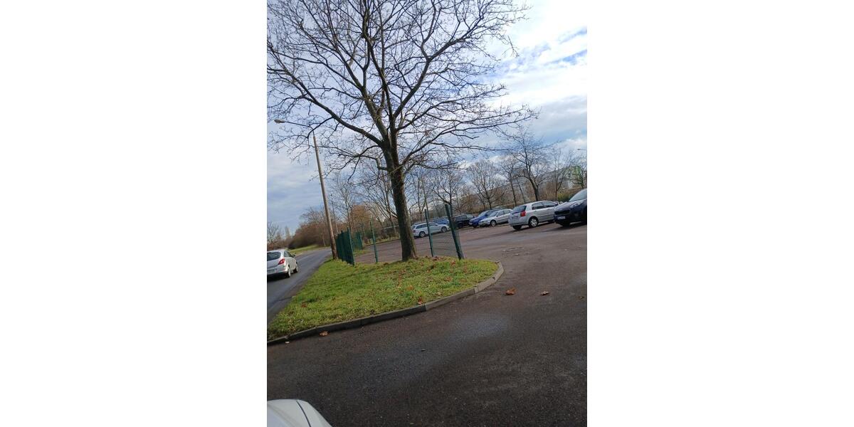 Gewerbeobjekt Halle (Saale) Nietleben - 30&euro; | Angebot:23781827