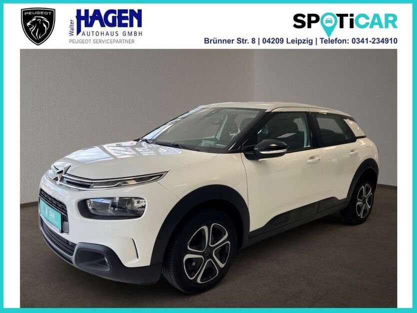 C4 Cactus