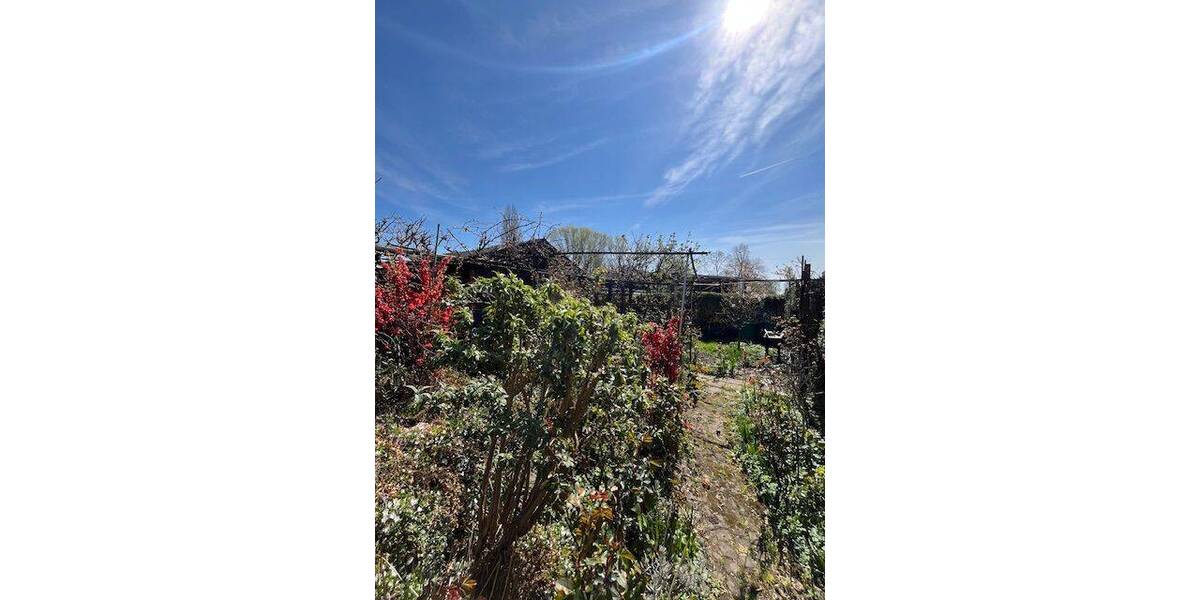 Etagenwohnung Halle (Saale) Freiimfelde - 3 Zimmer, 65 m&sup2;, 100.000&euro; | Angebot:26220470