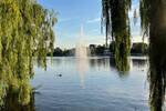 Etagenwohnung Merseburg Neumarkt (Vorstadt) - 4 Zimmer, 137 m&sup2;, 1.490&euro; | Angebot:26798305