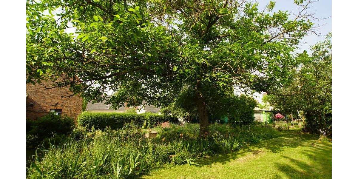 Grundstück Schkopau-Hohenweiden Hohenweiden - 99.000&euro; | Angebot:25708629