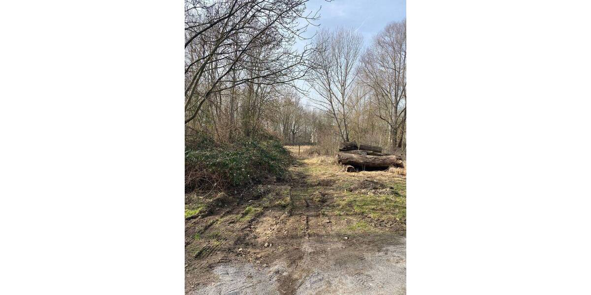 Grundstück Halle (Saale) Seeben - 55.000&euro; | Angebot:25927891