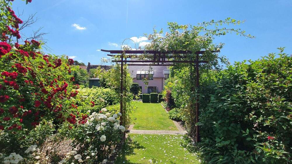 Mehrfamilienhaus, Wohnhaus Lutherstadt Eisleben - 3 Zimmer, 176 m&sup2;, 450.000&euro; | Angebot:24520504