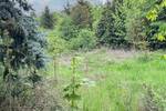 Grundstück Wettin-Löbejün Wettin - 26.500&euro; | Angebot:26799587
