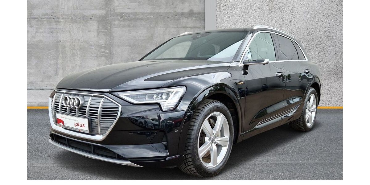 Audi e-tron 124.579 km 33.960 &euro; Halle (Saale) 06110