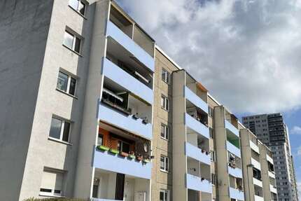 Wohnung Halle (Saale) Nietleben - 4 Zimmer, 66 m&sup2;, 340&euro; | Angebot:26193899