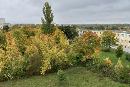 Wohnung Halle (Saale) Nietleben - 6 Zimmer, 112 m&sup2;, 657&euro; | Angebot:24378268