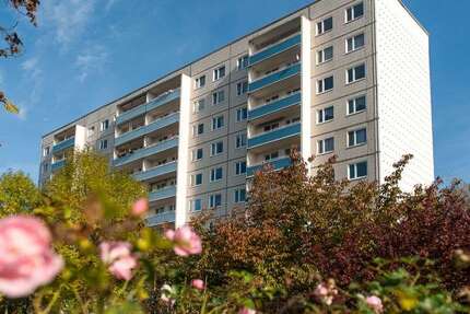 Wohnung Halle (Saale) Halle-Neustadt - 3 Zimmer, 55 m&sup2;, 315&euro; | Angebot:27428578
