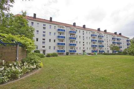 Wohnung zum Mieten in Halle (Saale) 345 € 49.28 m² 2 zimmer