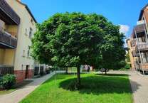 Wohnung zum Mieten in Leipzig 959 € 80 m²