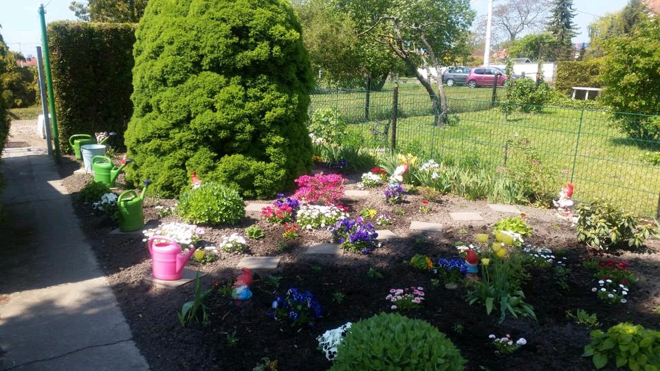 Reihenhaus Südliches Anhalt - 3 Zimmer, 65 m&sup2;, 35.000&euro; | Angebot:26235538