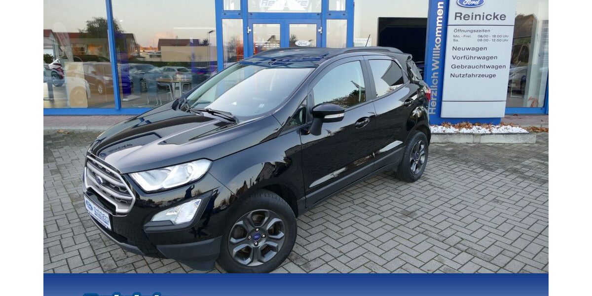 Ford EcoSport 73.725 km 12.980 &euro; Mücheln / Geiseltal 06249