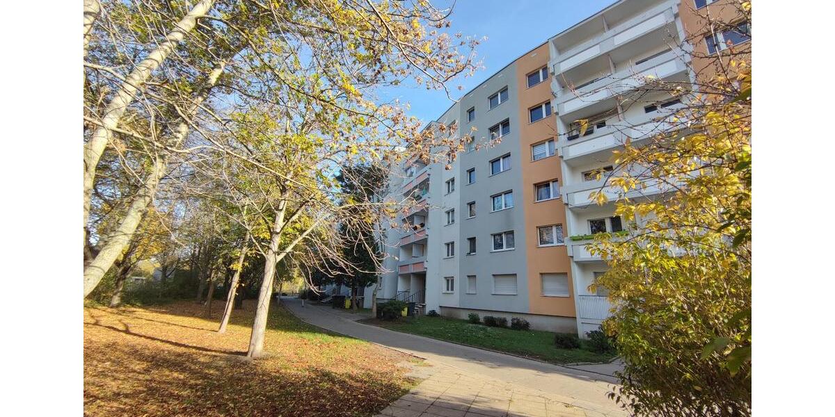 Etagenwohnung Halle (Saale) Halle-Neustadt - 4 Zimmer, 66 m&sup2;, 435&euro; | Angebot:26465400