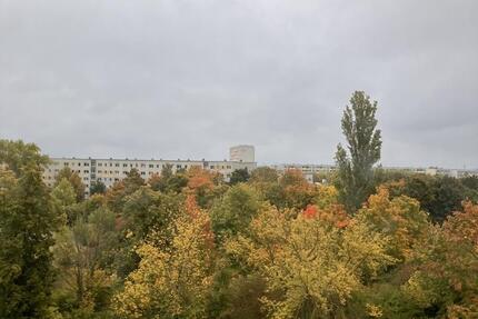 Wohnung Halle (Saale) Nietleben - 3 Zimmer, 56 m&sup2;, 329&euro; | Angebot:24378399