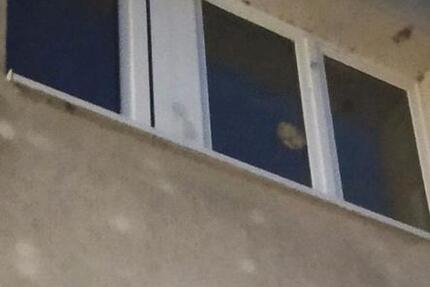 2 Raumwohnung in Gröbzig 2 zimmer