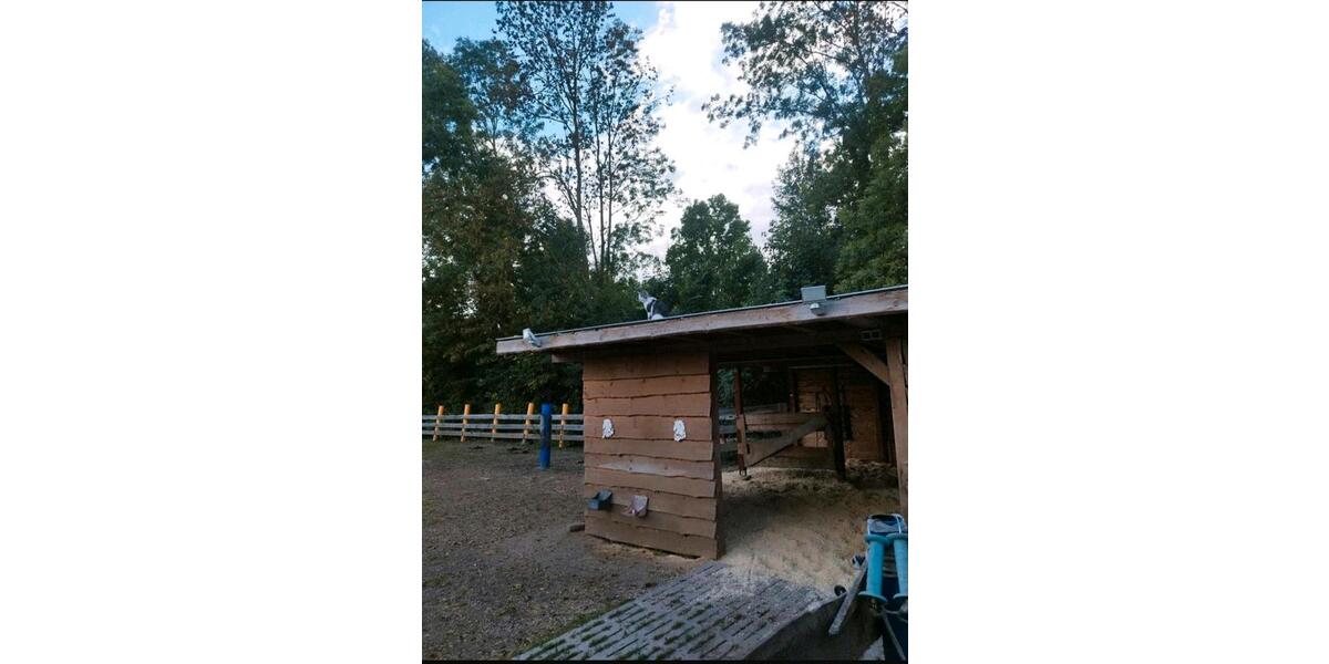 Bungalow Salzatal - 4 Zimmer, 112 m&sup2;, 320.000&euro; | Angebot:25130401