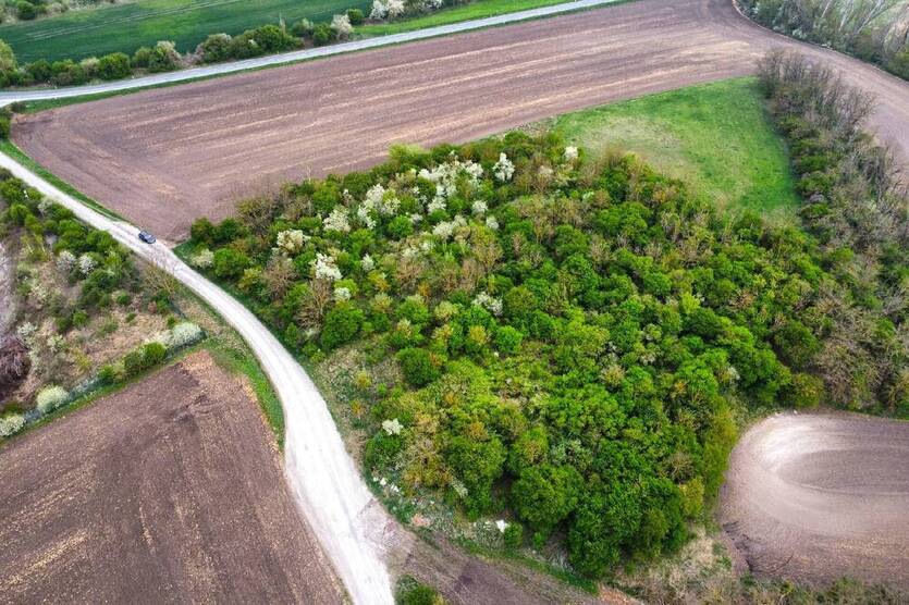 Nachauktion - 1,3 ha unbebaute Grundstücke (ehemalige Deponien)