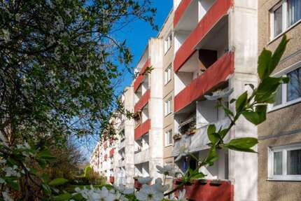 Wohnung zum Mieten in Halle (Saale) 300 € 56.65 m² 3 zimmer