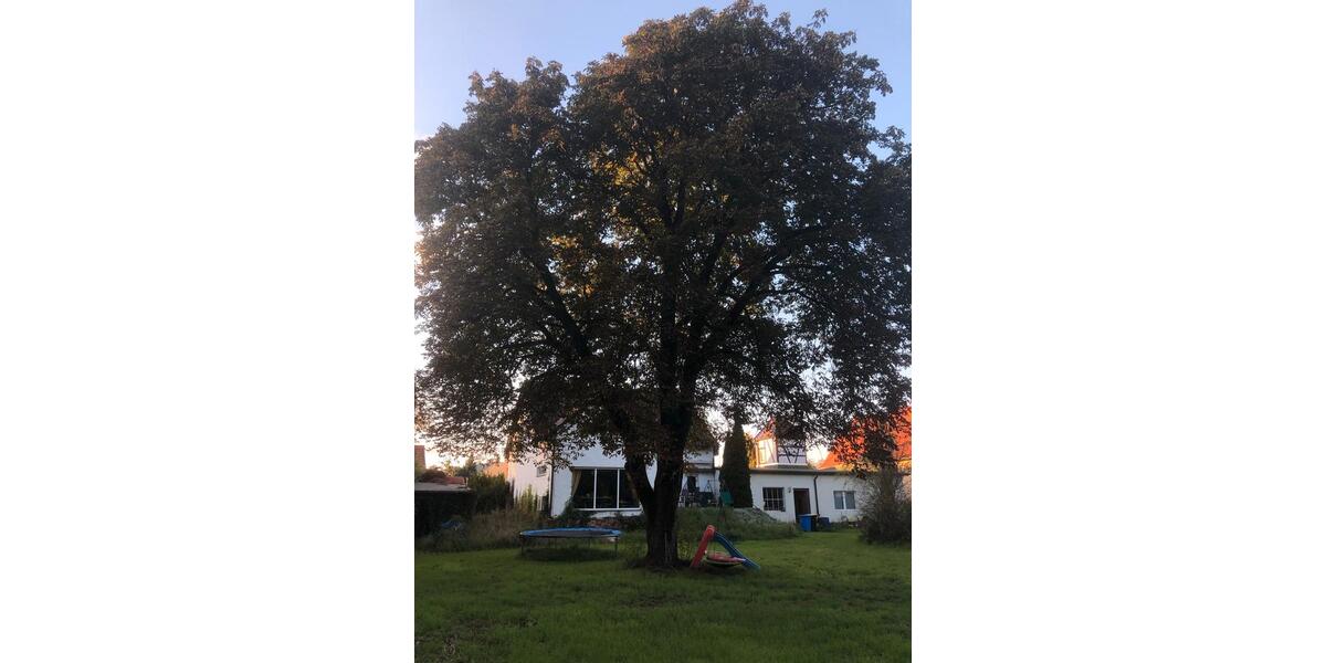 Einfamilienhaus Leuna - 8 Zimmer, 270 m&sup2;, 420.000&euro; | Angebot:23634405