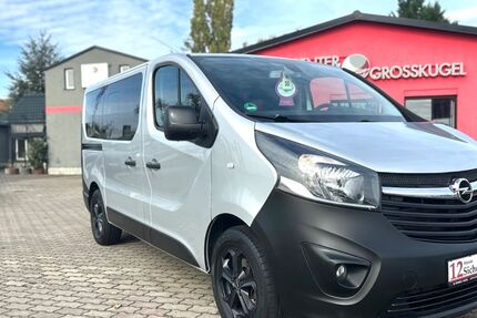 Opel Vivaro 124.563 km 14.999 &euro; Kabelsketal/OT Großkugel 06184