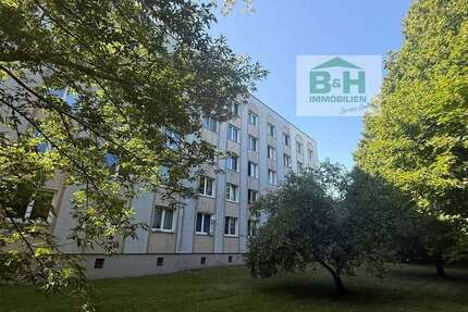 Wohnung zum Mieten in Wolfen 201 € 24 m² 1 zimmer