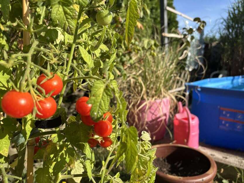 Ein Platz zum Ankommen – großzügige Doppelhaushälfte mit Traumgarten 5 zimmer