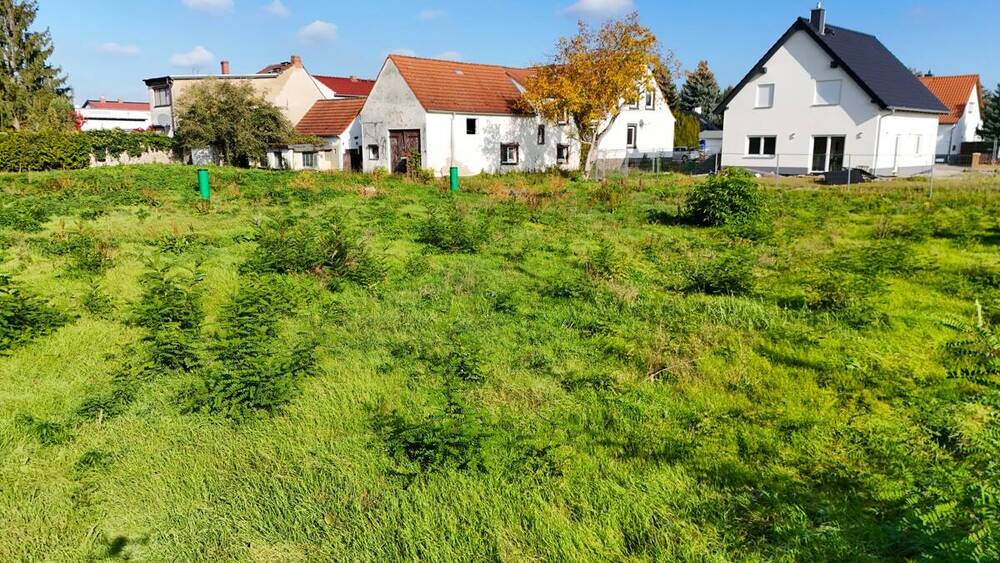 Grundstück Sandersdorf-Brehna/ Zscherndorf Zscherndorf - 69.900&euro; | Angebot:24035110