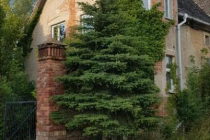 Großzügiges Grundstück mit Wohnhaus