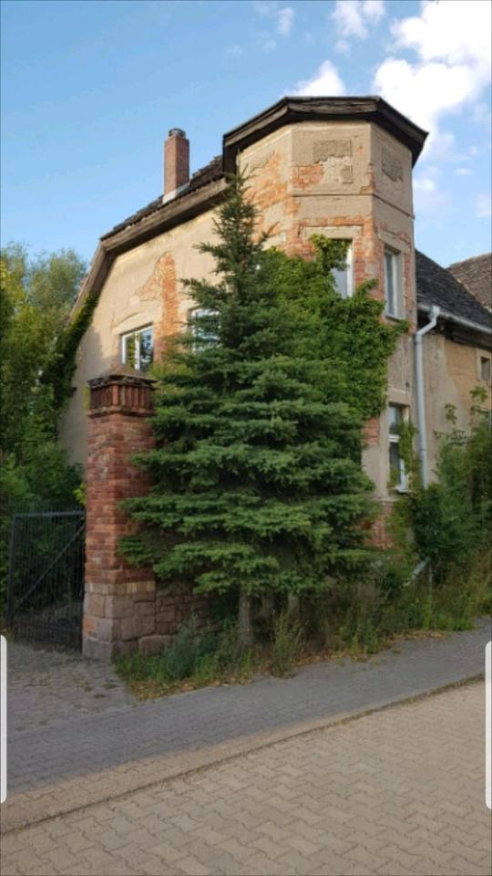 Großzügiges Grundstück mit Wohnhaus