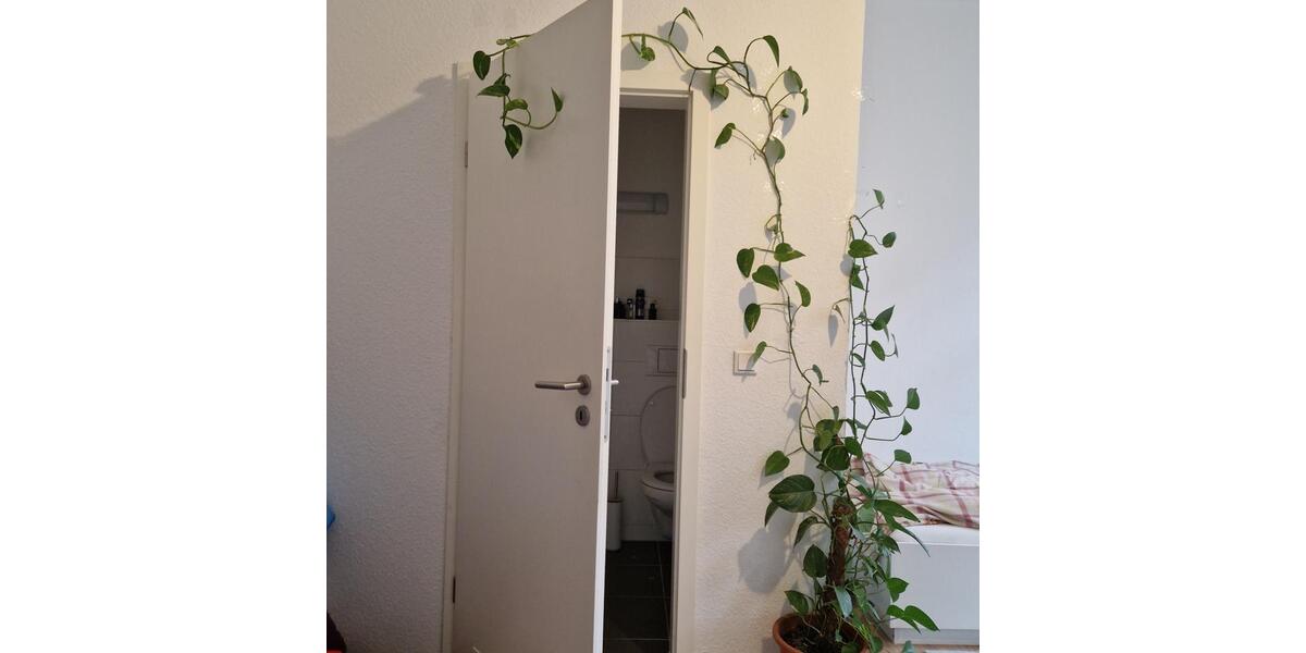 Etagenwohnung Halle (Saale) - 1 Zimmer, 31 m&sup2;, 245&euro; | Angebot:25639781