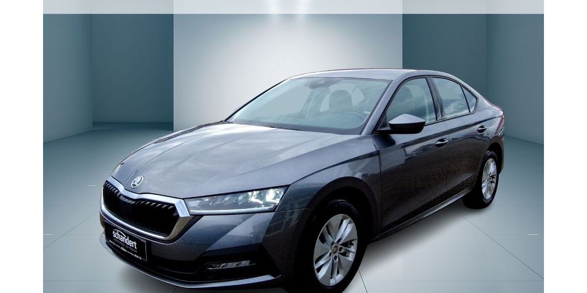 Skoda Octavia 64.782 km 18.960 &euro; Bitterfeld-Wolfen 06766
