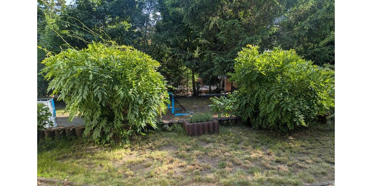 Etagenwohnung Halle (Saale) Dölau - 3 Zimmer, 94 m&sup2;, 890&euro; | Angebot:25974870