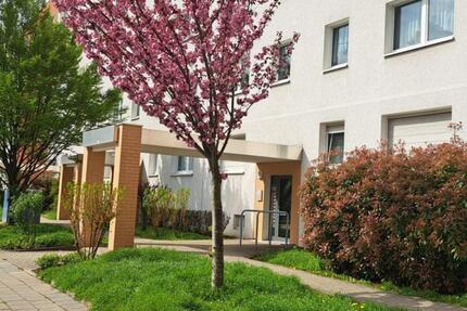 Wohnung Halle (Saale) Halle-Neustadt - 3 Zimmer, 57 m&sup2;, 344&euro; | Angebot:24685950