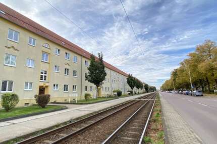 Wohnung zum Mieten in Halle (Saale) 390 € 47.76 m² 2 zimmer
