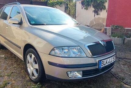 Skoda Octavia 123.800 km 4.800 € Lützen 06686