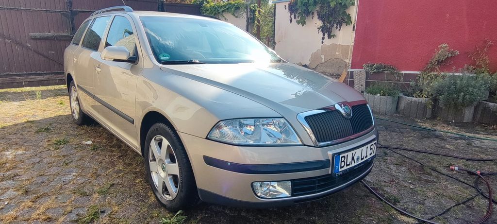 Skoda Octavia 123.800 km 4.800 € Lützen 06686