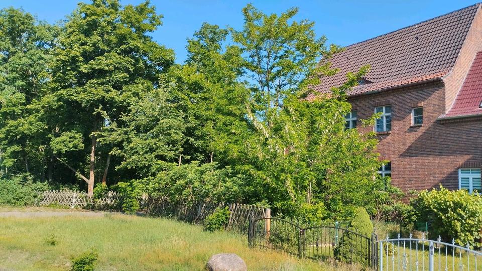 Doppelhaushälfte Köthen (Anhalt) - 125.000&euro; | Angebot:25264916
