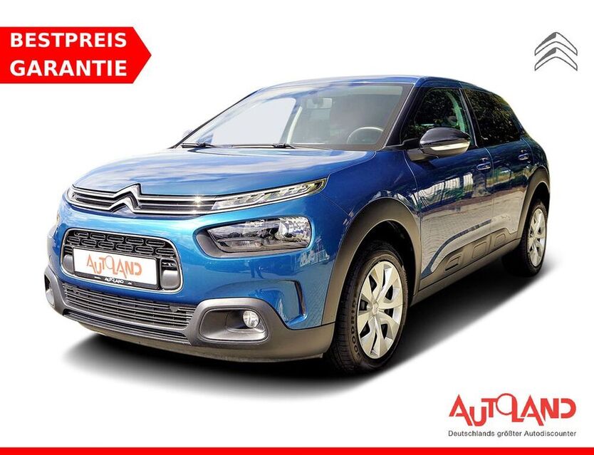 C4 Cactus