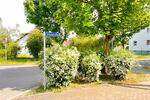Etagenwohnung Sandersdorf Zscherndorf - 2 Zimmer, 44 m&sup2;, 365&euro; | Angebot:26740584