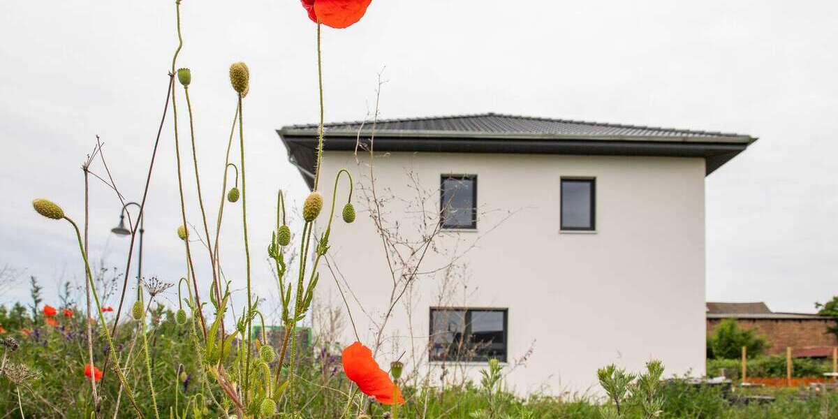 Ellerbacher Höfe: ANKOMMEN.WOHLFÜHLEN.BLEIBEN. 5 zimmer